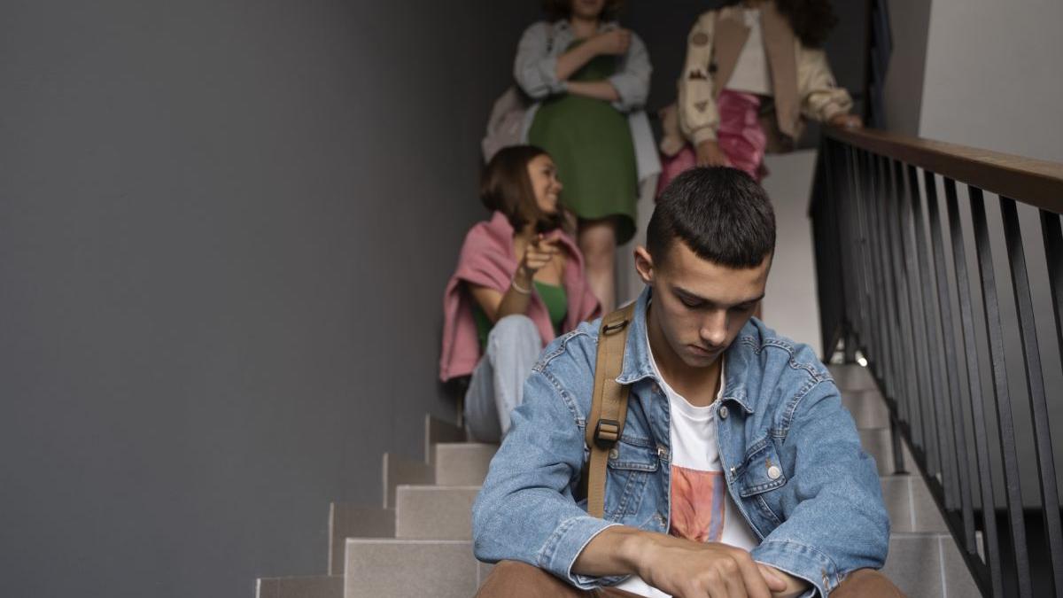 violenta scoli bullying parinti pedepse atacatori