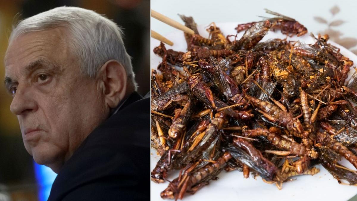 petre daea scandal lege interzicere mancare gandaci