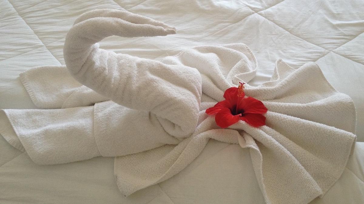 cum sa verificati camera hotel inainte de a despacheta videoclip viral