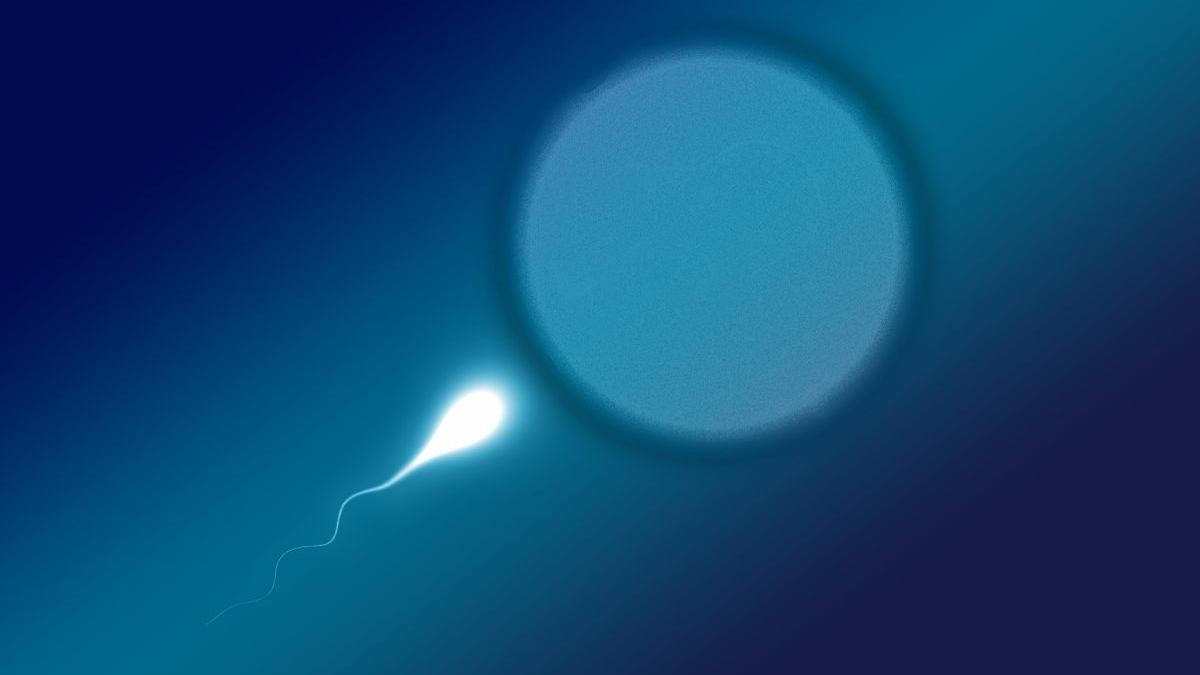omenire confruntare criza fertilitate