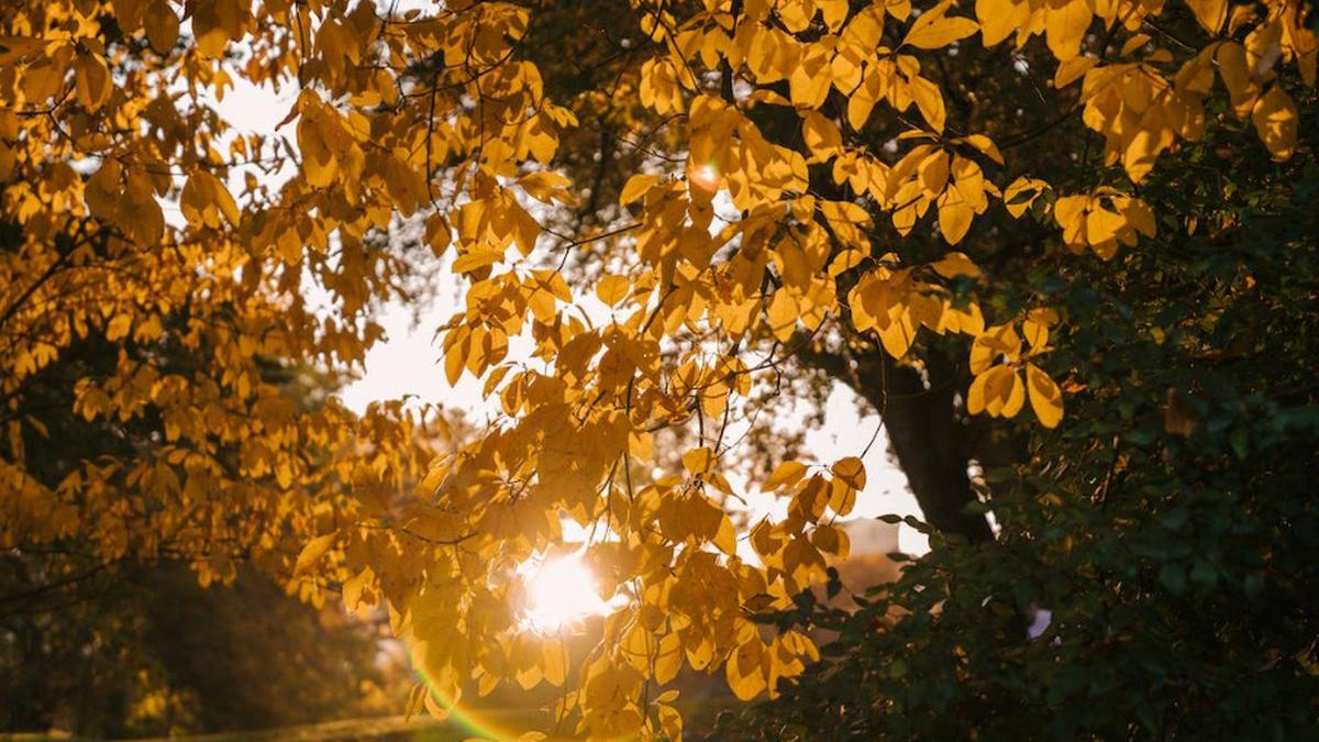 prognoza meteo vremea decembrie