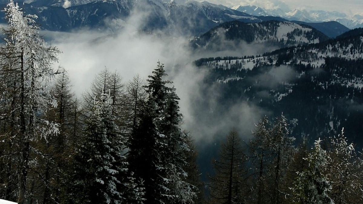 cod galben vant munte rafale