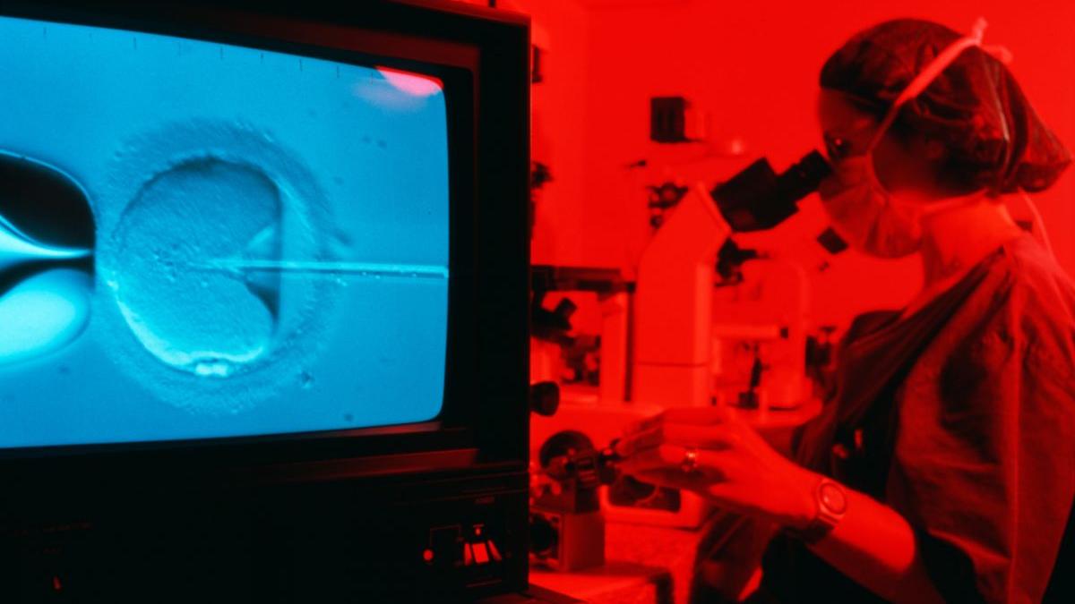 americani parinti gemeni tehnica revolutionara