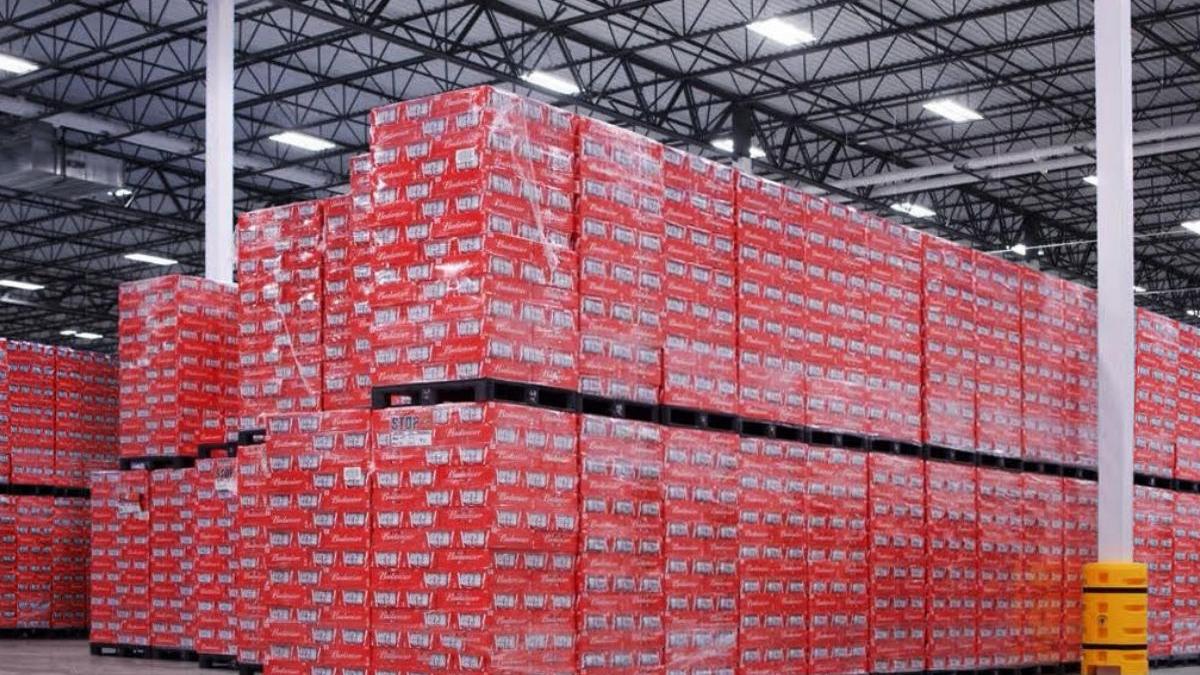 budweiser bere tara castiga campionatul mondial fotbal