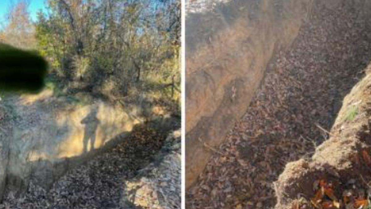 padure bihor santuri hoti lemne