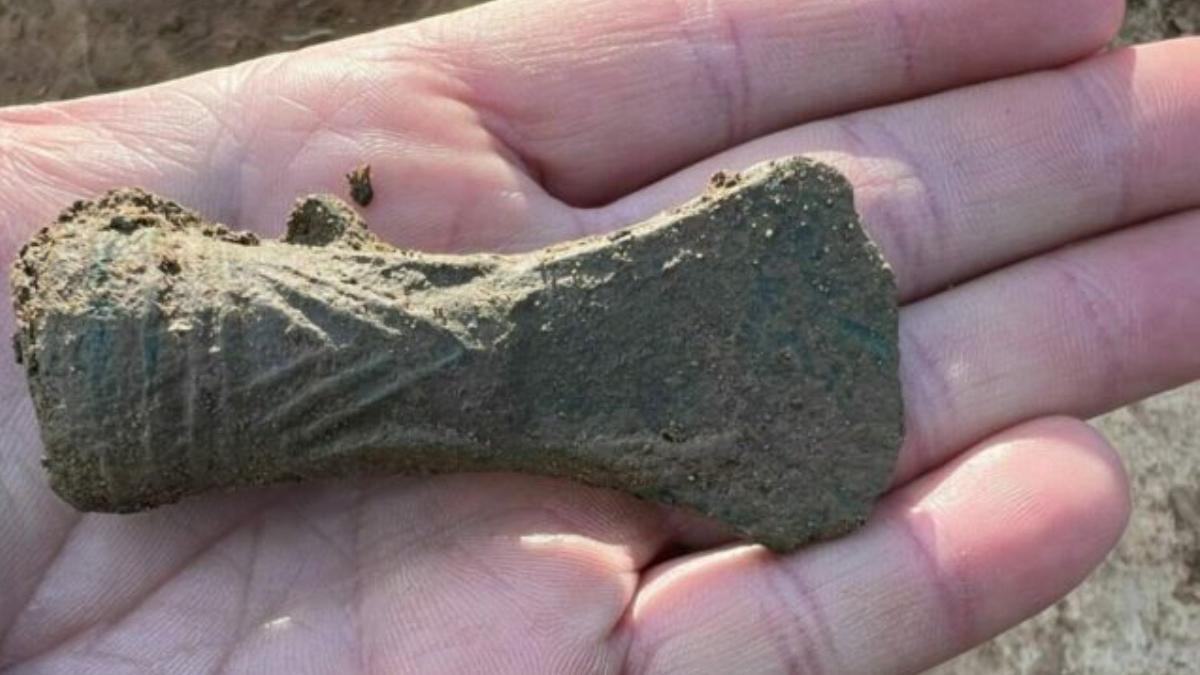 topoare vechi 3 000 ani descoperite padure ocna mures