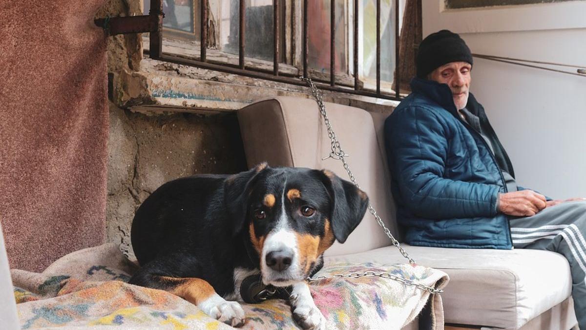 un leu plus pensie poate lasa fara ajutor factura energie electrica