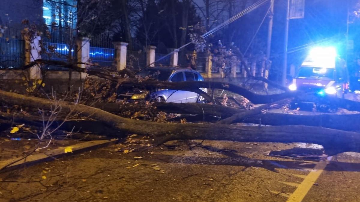 copac cazut barbat jandarmeria romana bucuresti