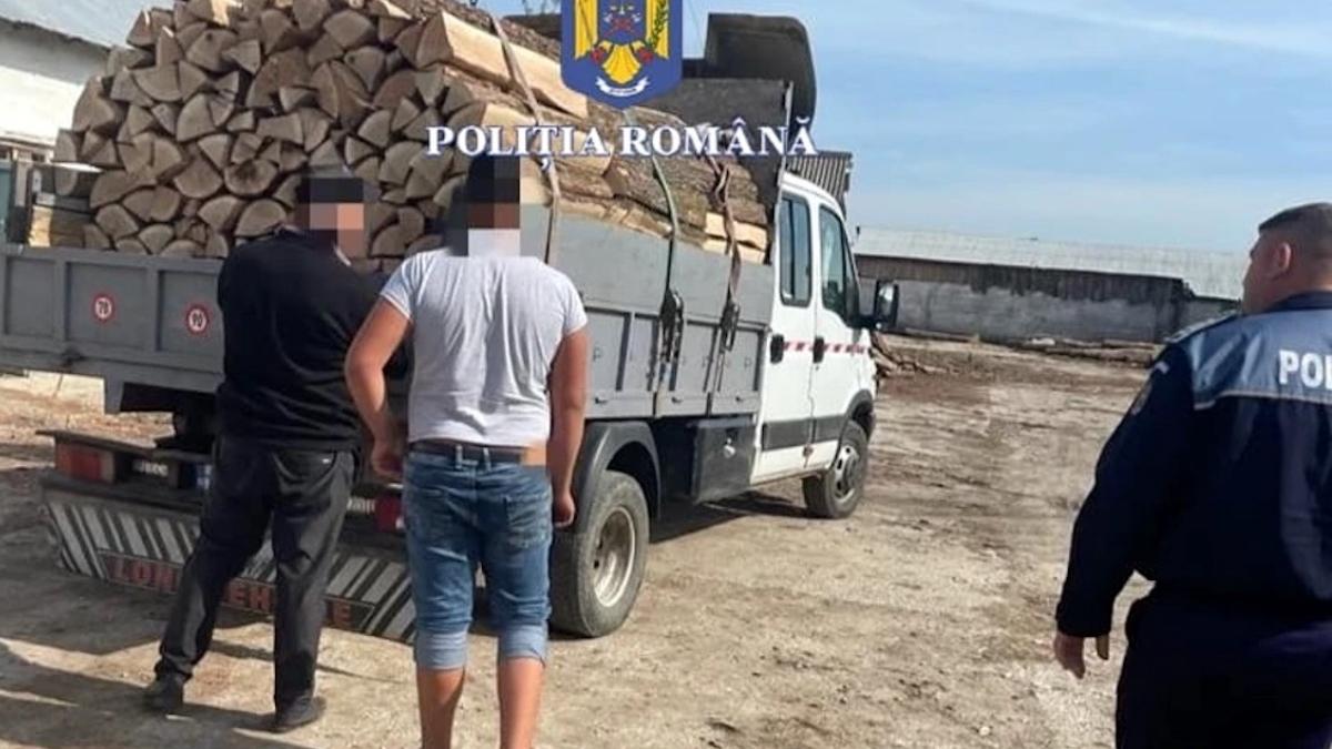 politisti suceava motivati procent valoare lemn confiscat trafic
