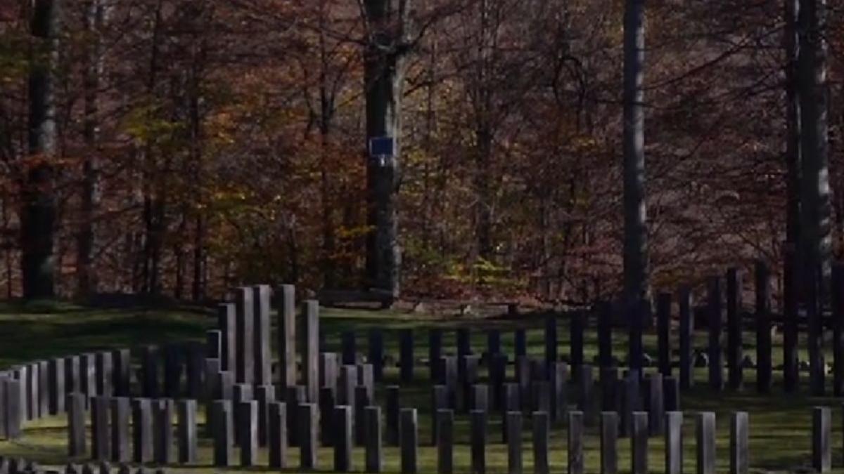 cetatea sarmizegetusa regia