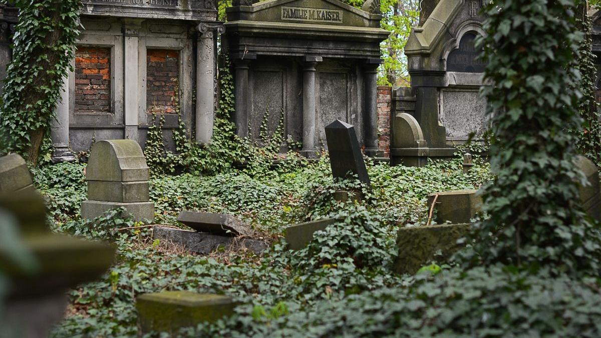 medic britanic william mead elixirul vietii