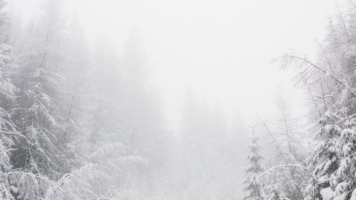 ninsoare romania weekend frig ceata