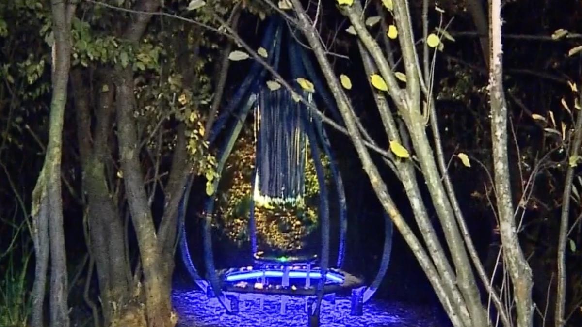 romania 60 procente rezerva totala apa europa proiect tineri mures conservare