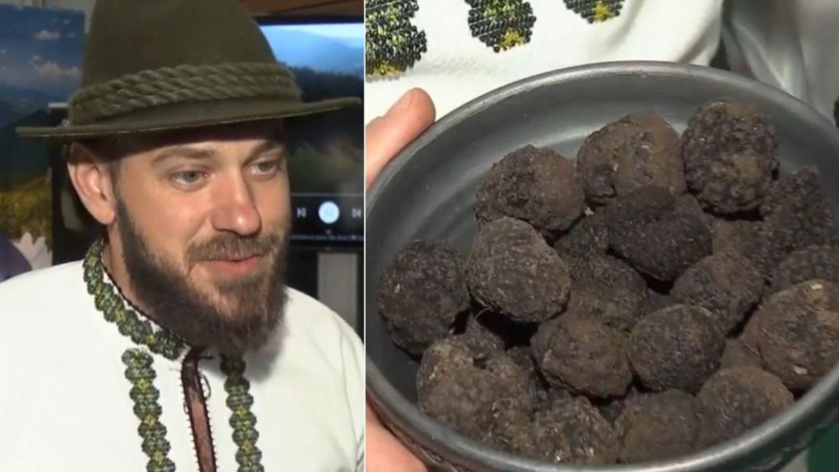 tanar roman renuntat serviciu diamante negre trufe