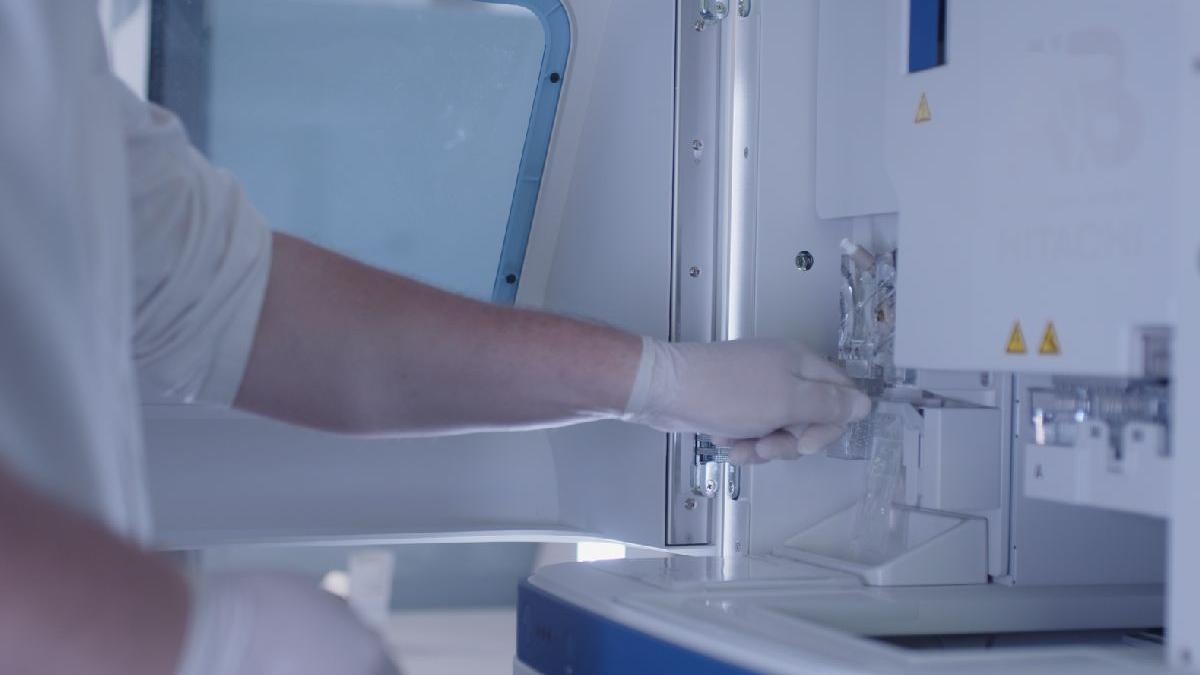 actiuni implementare plan national actiune conservare specie urs brun romania