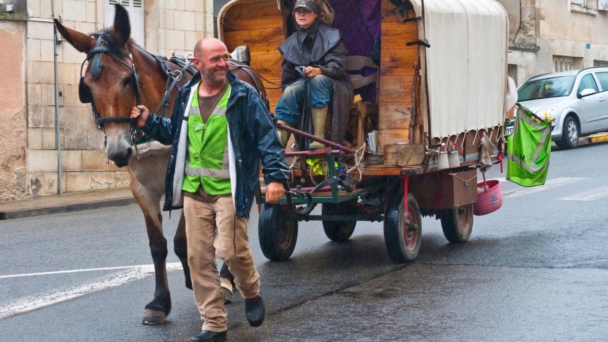 caii inlocuit masini mici orase franta servicii salubritate scoli