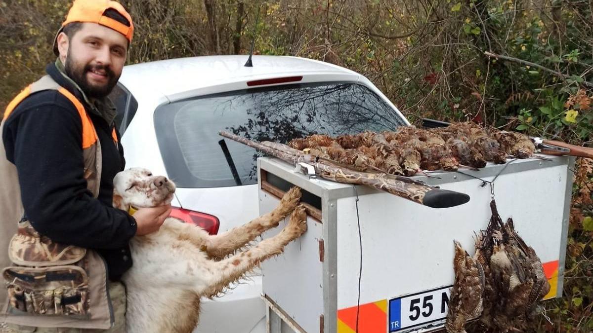 caine impuscat stapan vanatoare turcia
