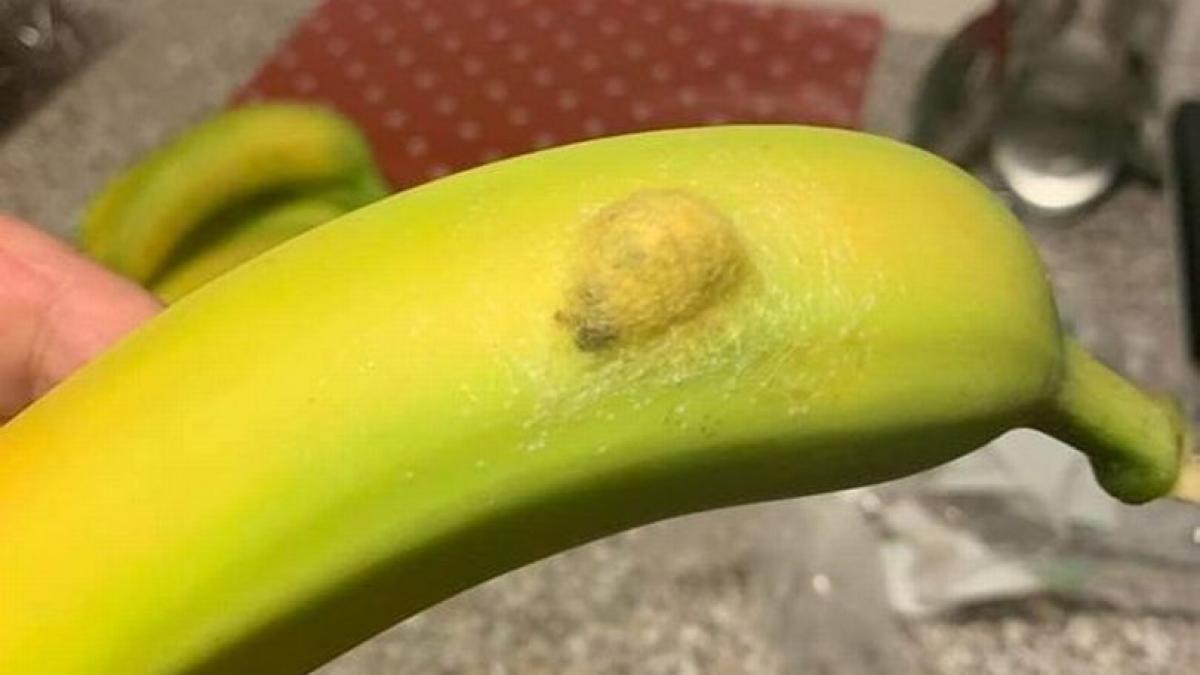 detaliu socant banana supermarket