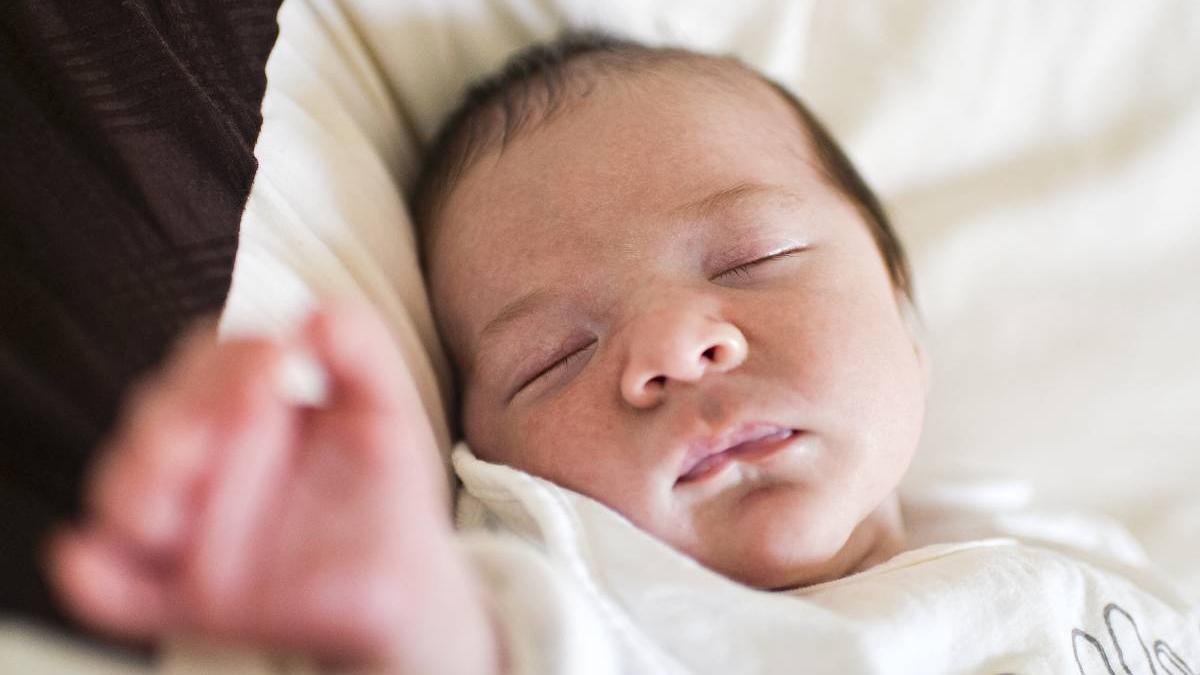 schimbari legea concediului maternal