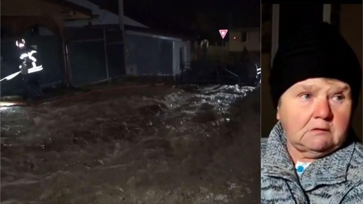 momente panica caras severin apa case