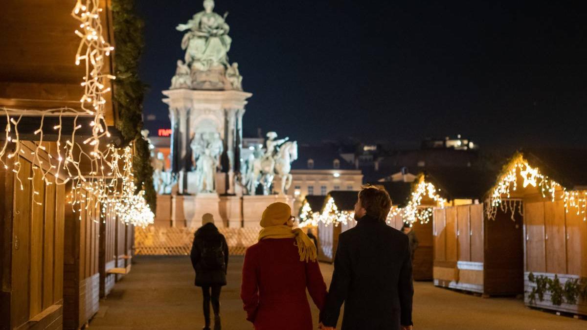 romani umiliti politie viena