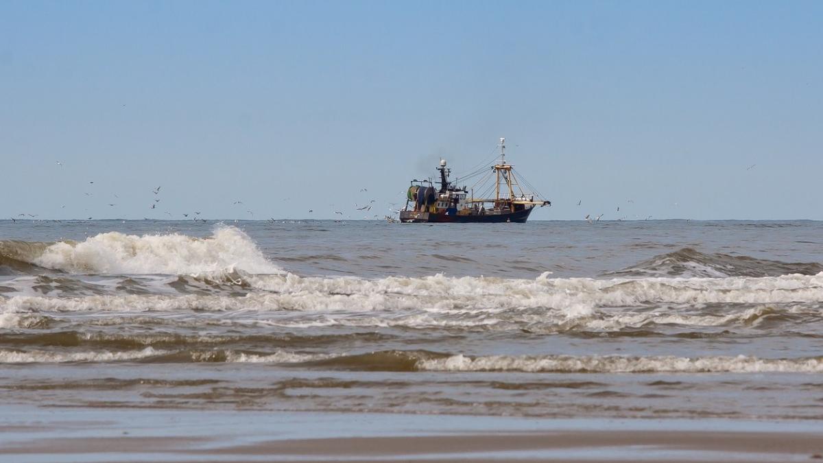 romania finantari ue afaceri maritime pescuit acvacultura