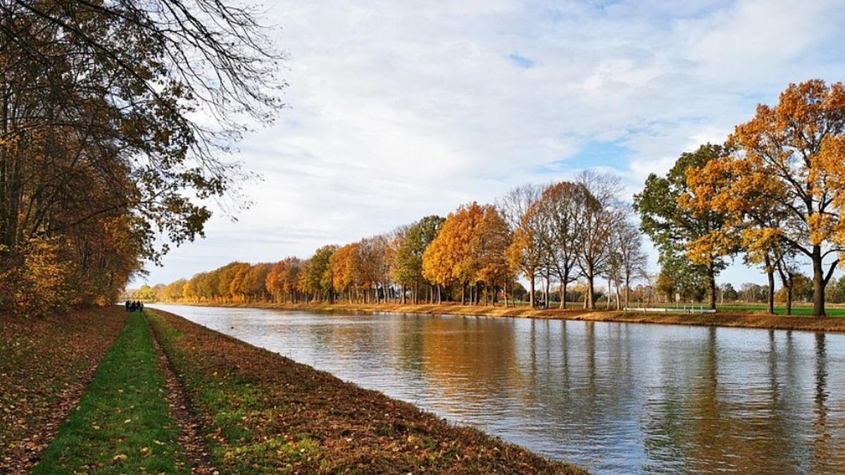 vremea prognoza meteo alina serban