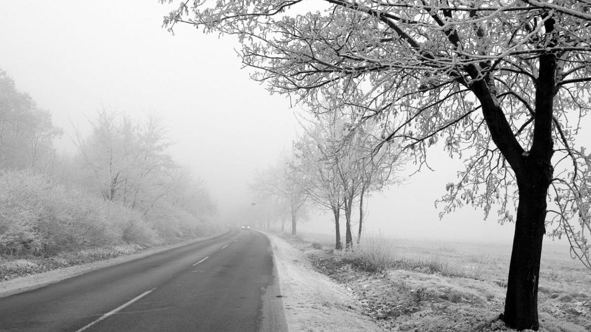 cod galben ceata ghetus 5 judete