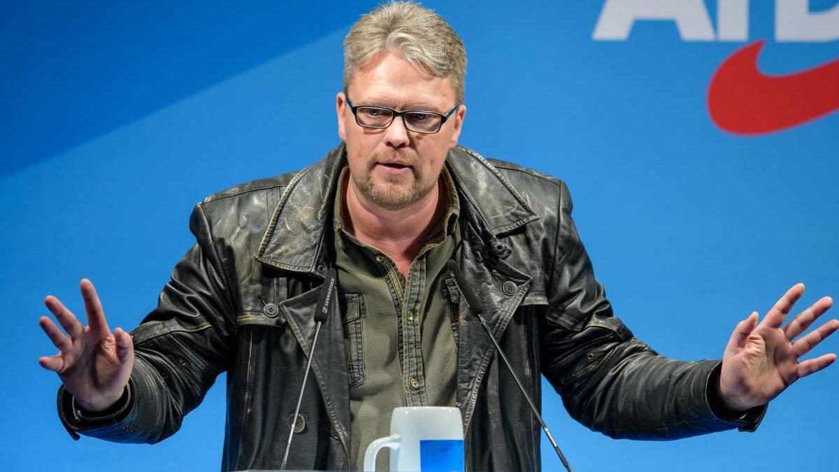 eurodeputat german guido reil vizita romania activitati