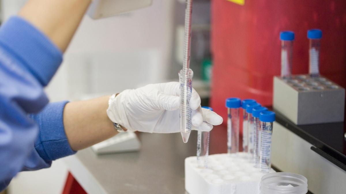 cereri decontare proceduri fertilizare in vitro