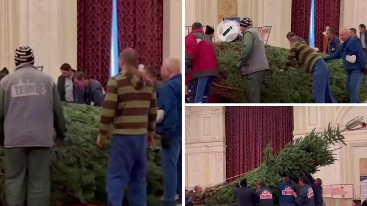 parlamentul romaniei angajati brad hol