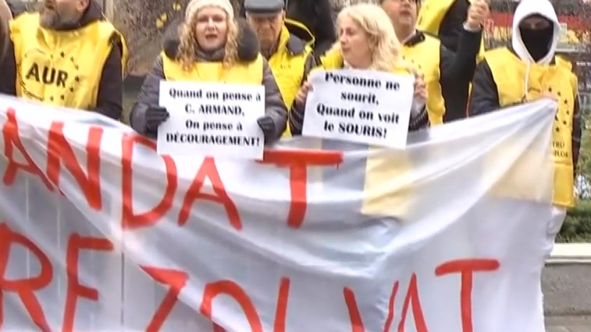 revolta clotilde armand protest demisie