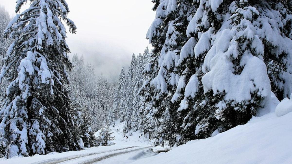 ucraineni rataciti munte granita romania