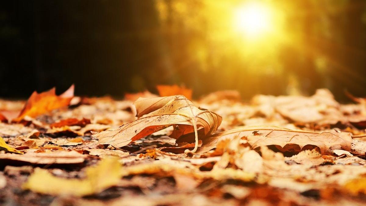 vreme nespecifica romania aer tropical inainte craciun prognoza meteo anm