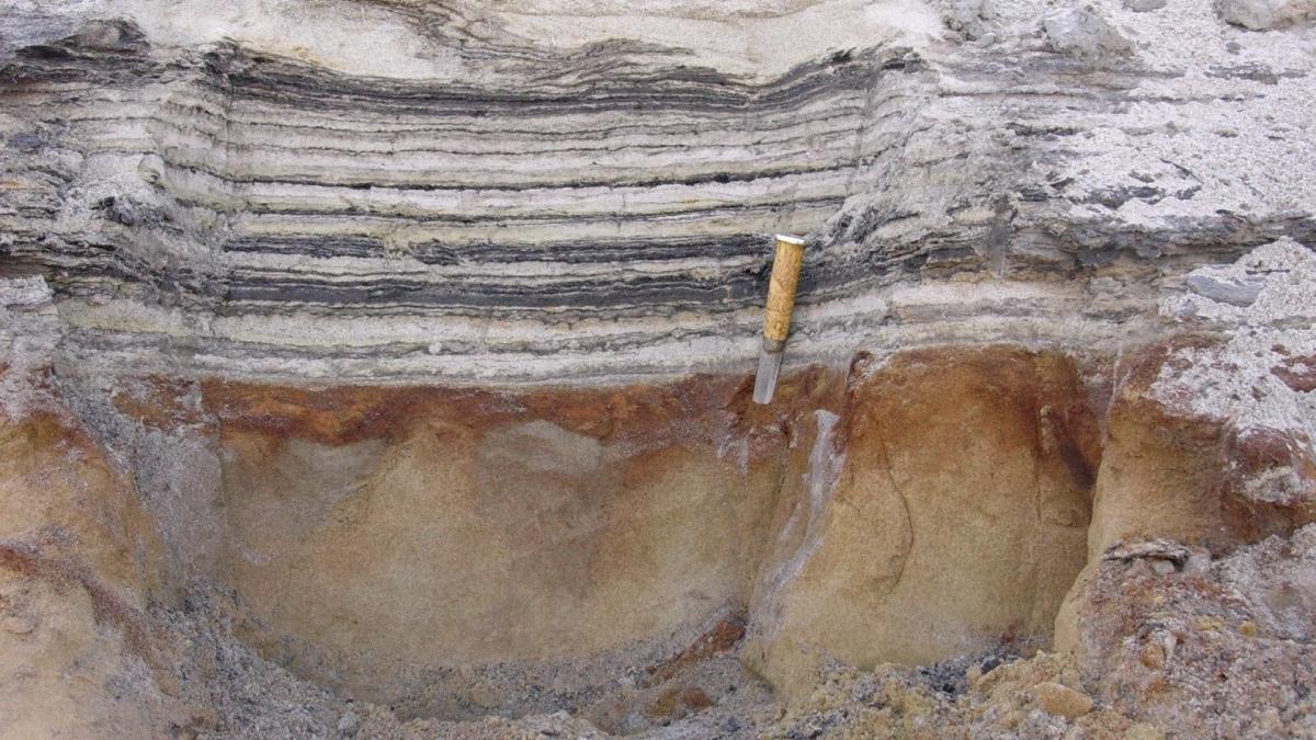 a fost gasit cel mai veci adn din lume 2 milioane ani