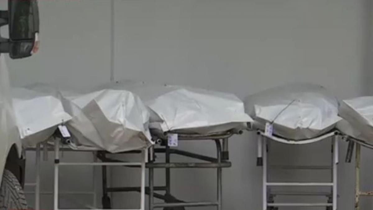 barbat vaslui socat ridica trupul tatalui morga