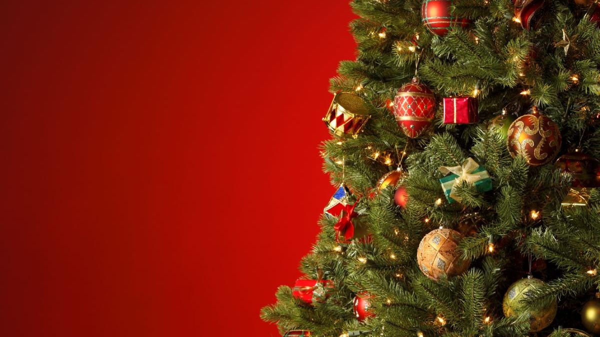 istorie brad craciun obicei romania