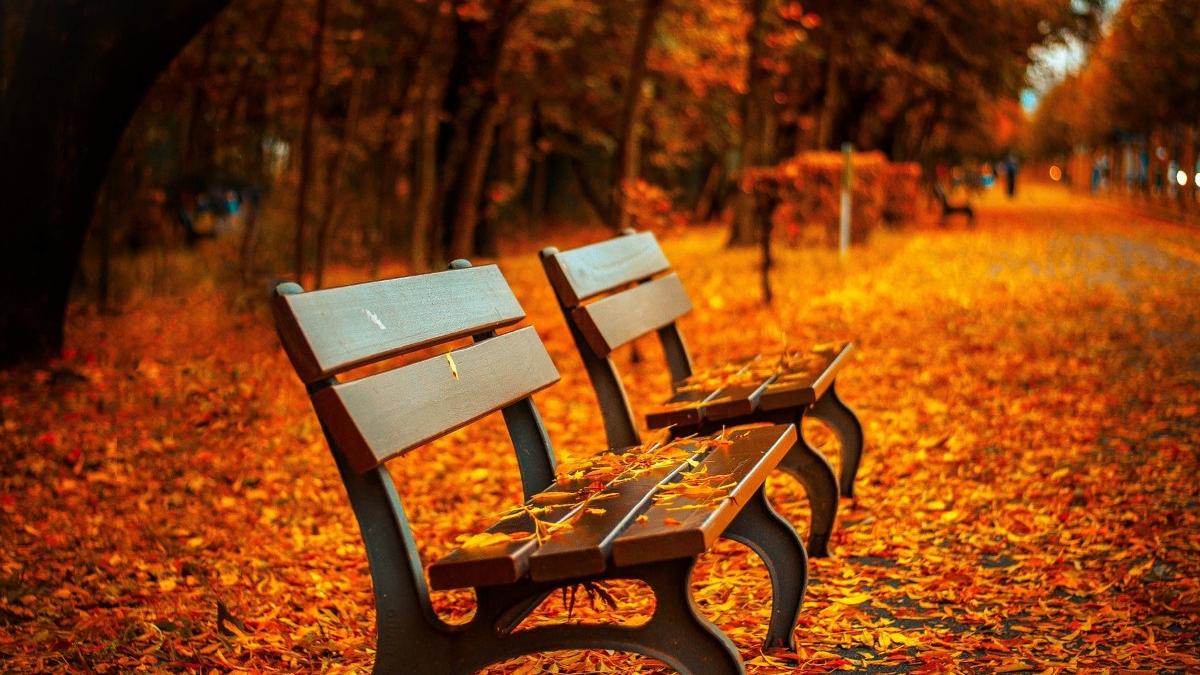 vremea temperaturi prognoza meteo anm