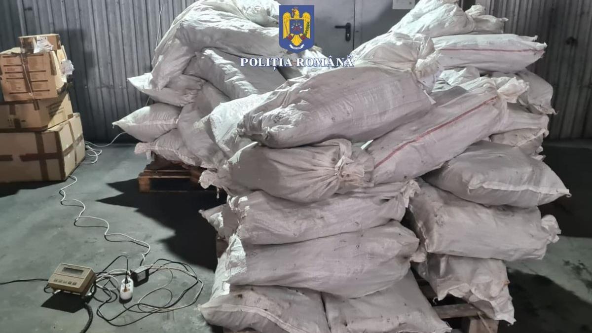 tone droguri sute milioane euro distruse politia romana