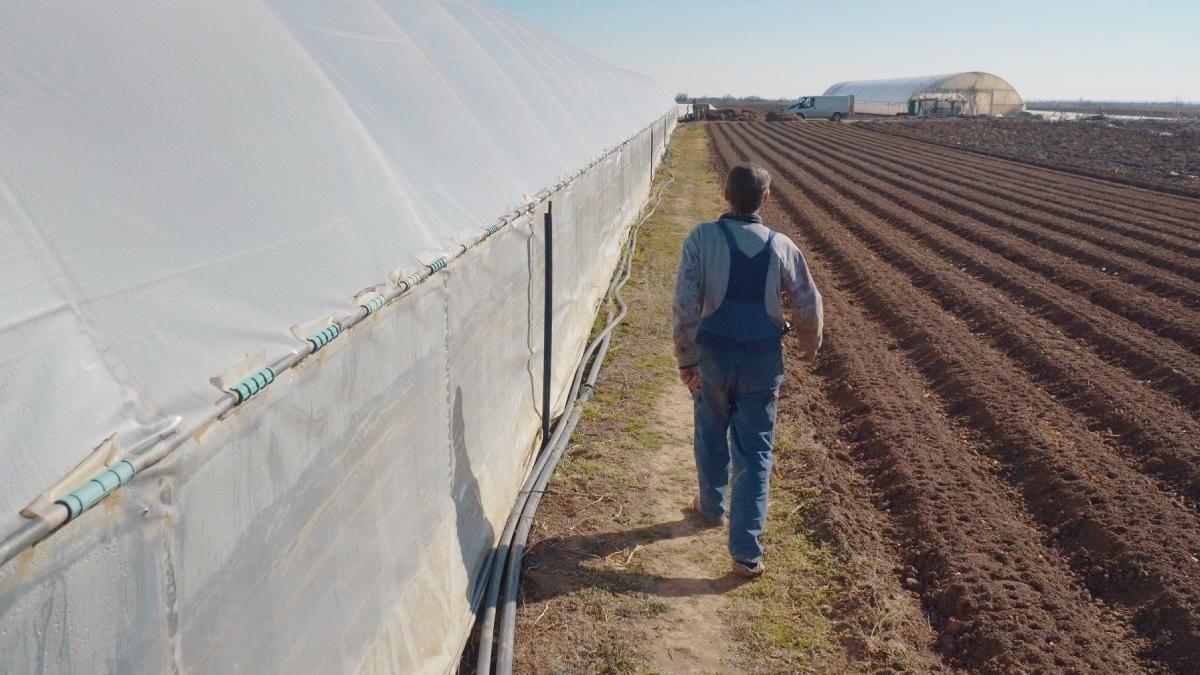 cea mai mare cooperativa agricola romania reziliaza contracte firme austriece