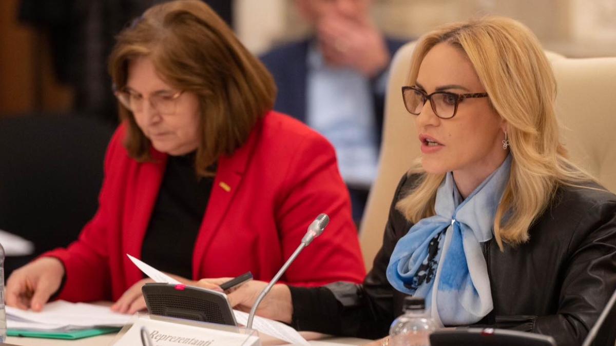 gabriela firea buget 2023 ministerul familiei proiecte