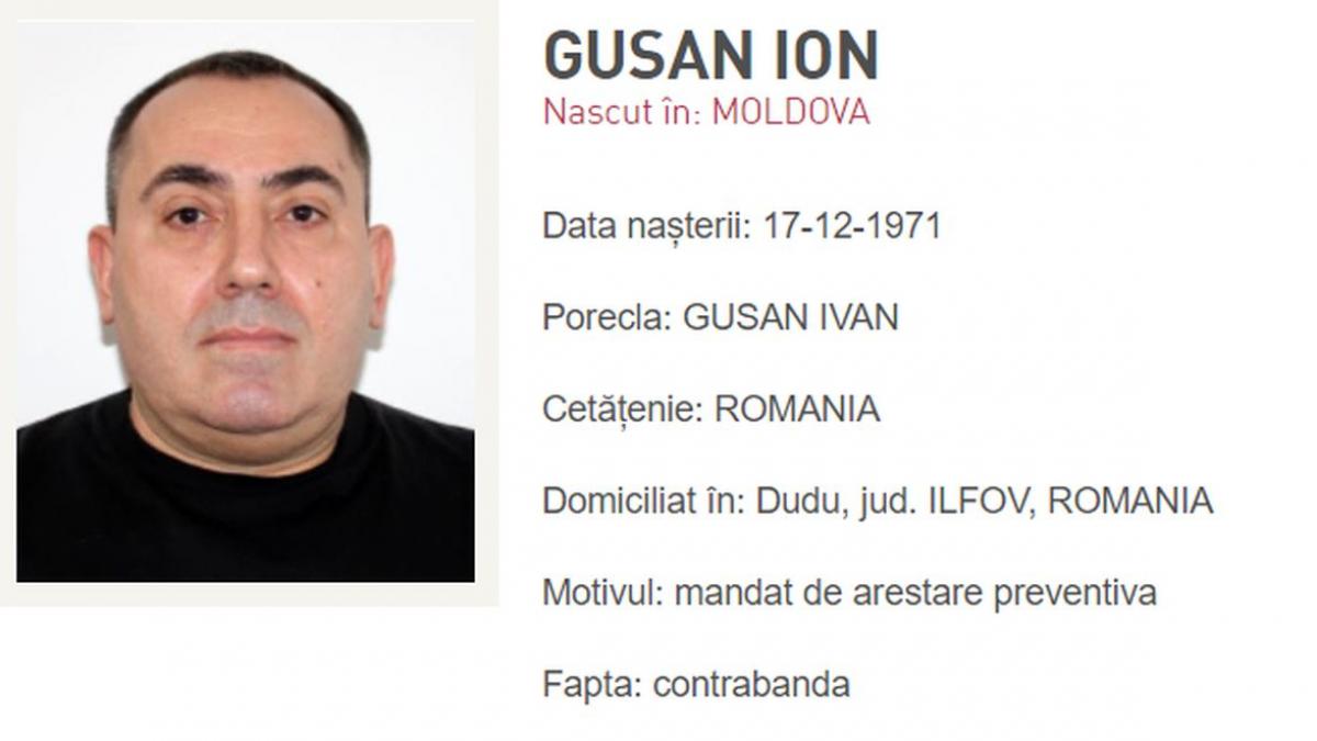 ion gusan nicu patron urmarire politia romana