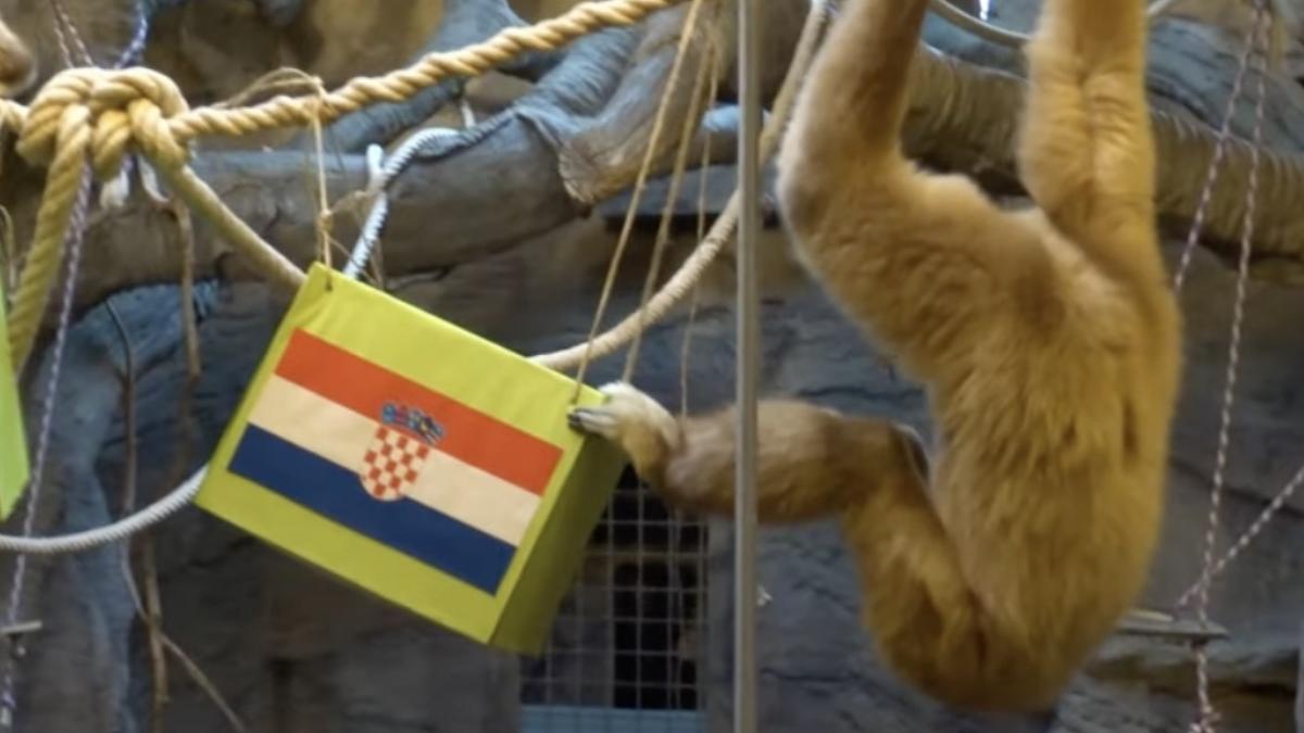 kent gibon 25 ani a prezis prima semifinalista campionatul mondial fotbal