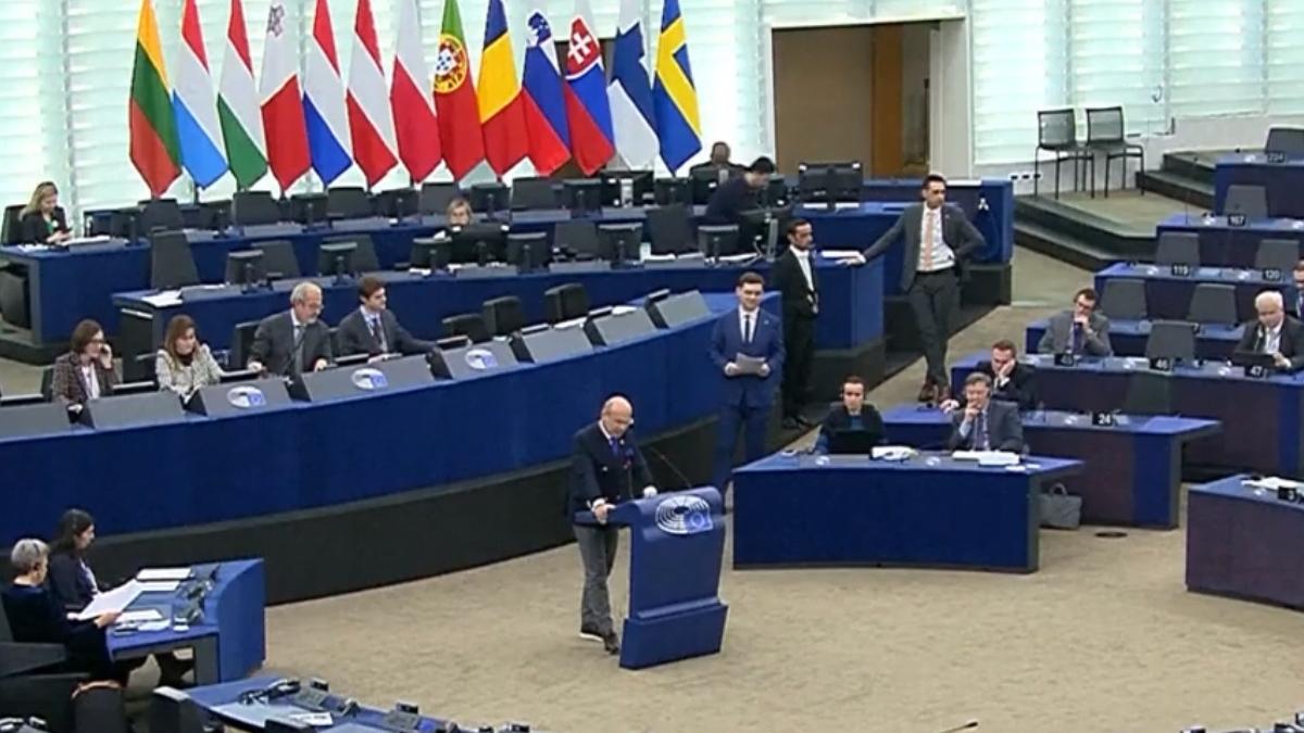 rares bogdan pnl declaratii sedinta parlamentul european intrerea romaniei in schengen