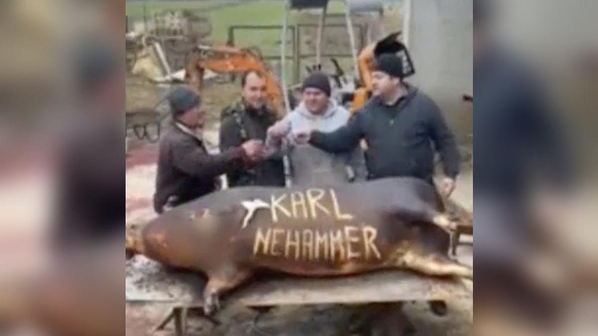 cancelar austria ironizat taierea porcului de patru romani