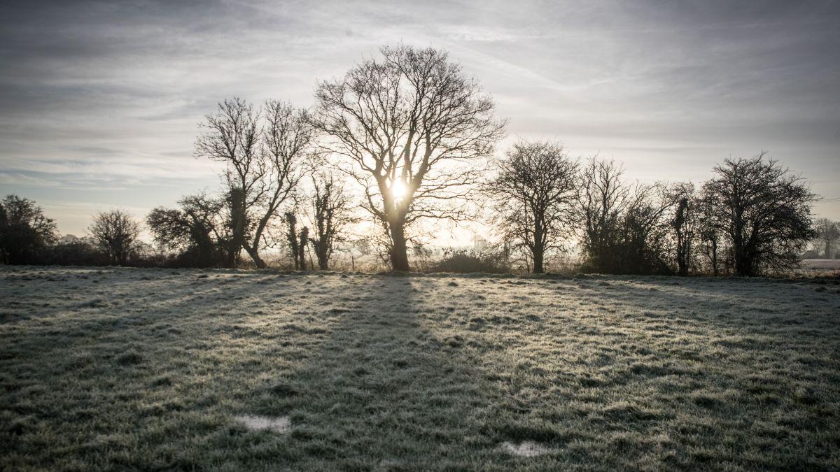 prognoza meteo vremea weekend