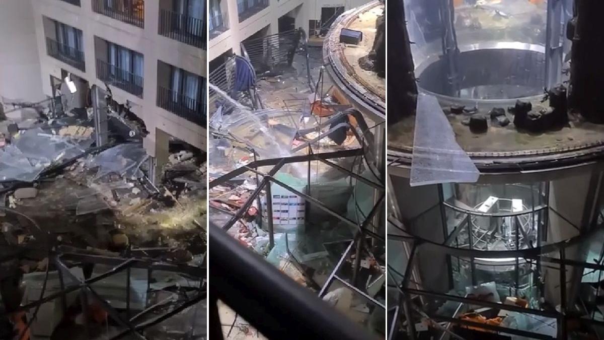 aquadom acvariu pesti tropicali berlin a explodat dezastru