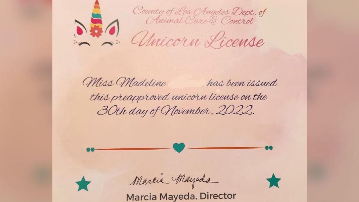 fetita 6 ani licenta detine unicorn autoritati los angeles