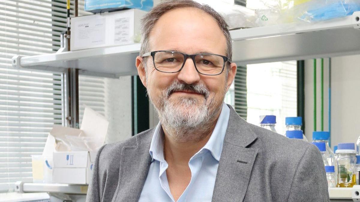 incetinire imbatranire creier guillermo lopez lluch