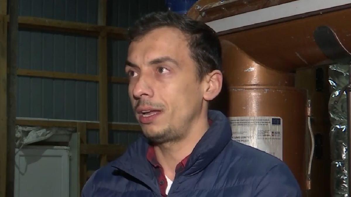 roman peleti coji floarea soarelui